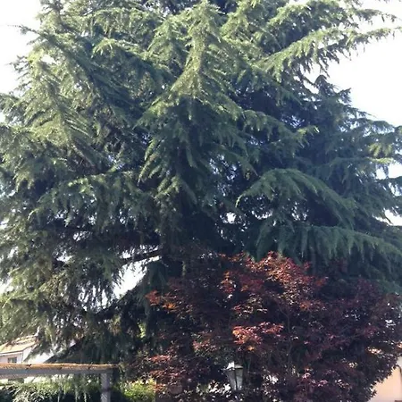 Cascina Rondinella Apartment Giaveno